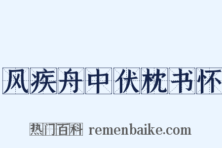 风疾舟中伏枕书怀是什么意思的图片